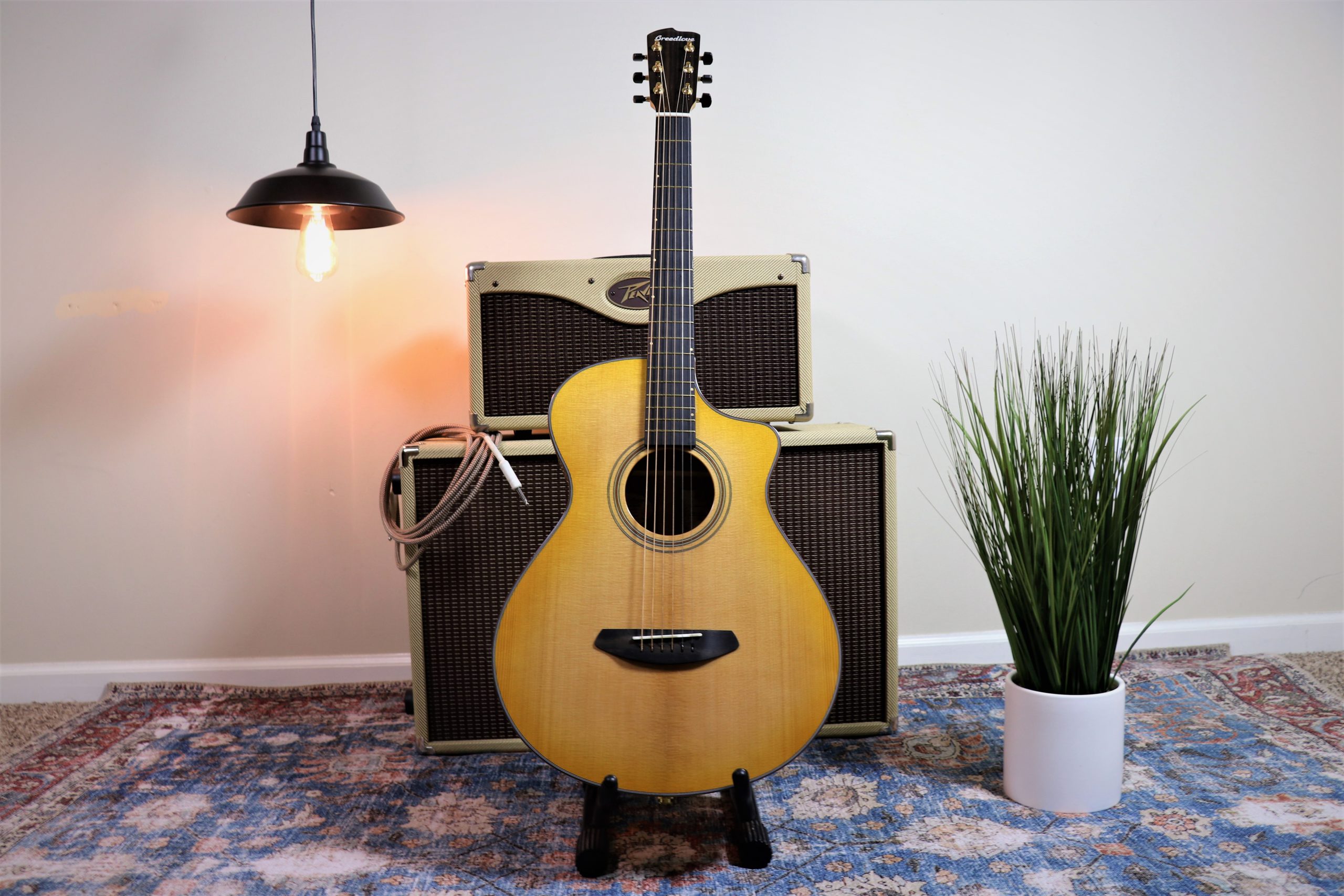 Breedlove artista concert natural shadow ce clearance